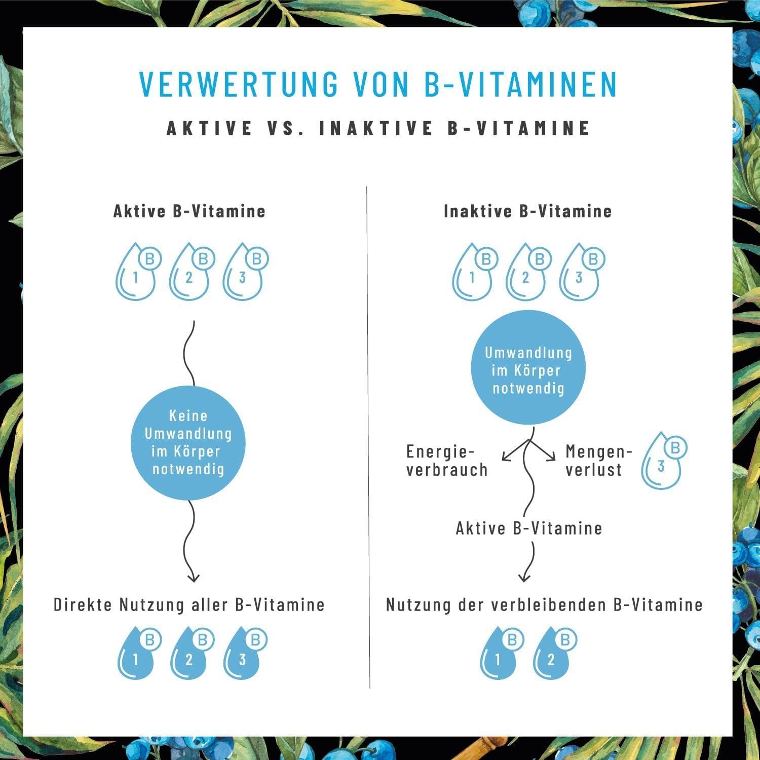 Unser Test: Vitamin B Complex - Vollspektrum für starke Nerven