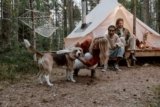 Was sind die besten Haustierzelte für Outdoor-Camping mit Ihrem Hund?