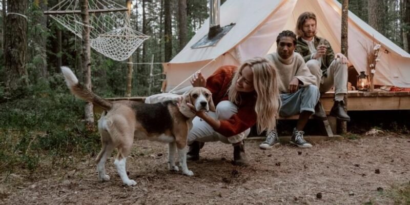 Was sind die besten Haustierzelte für Outdoor-Camping mit Ihrem Hund?
